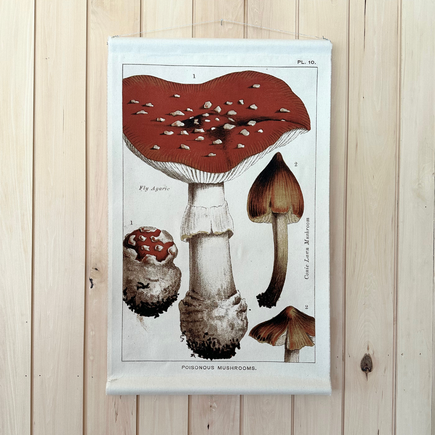 Canvas Wall Hanging - Fly Agaric Mushroom